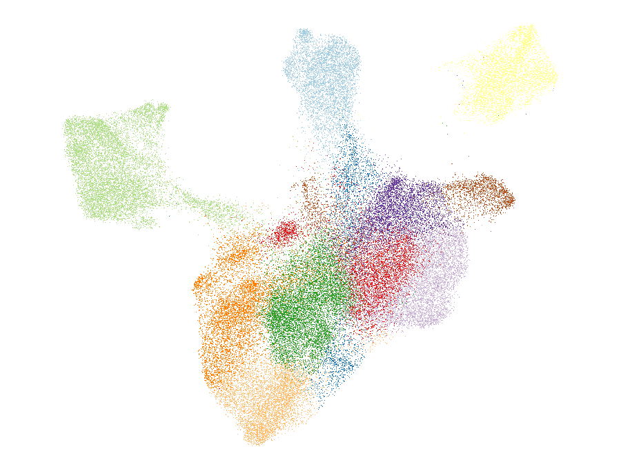UMAP of the dendritic cell dataset