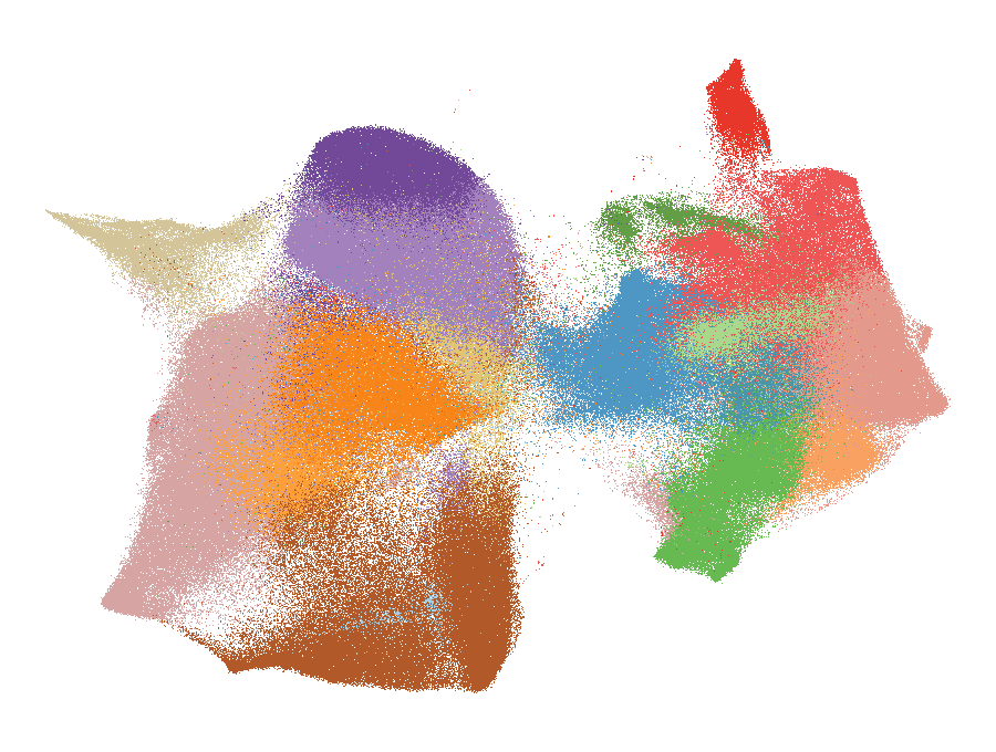 UMAP of the monocyte and macrophage dataset