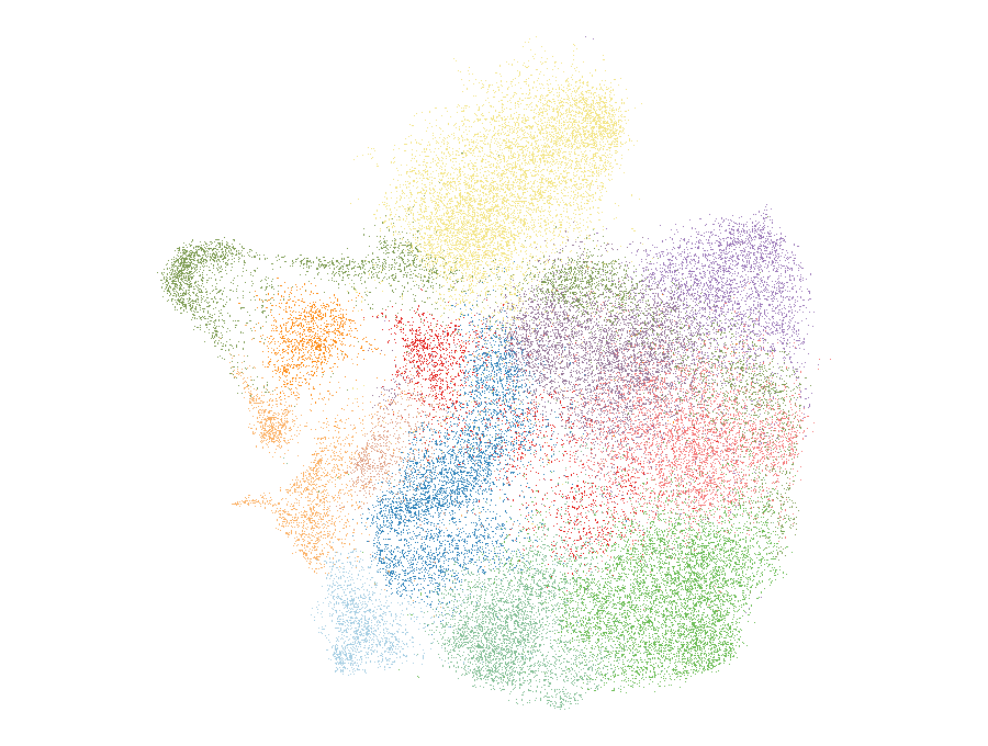 UMAP of the neutrophil dataset